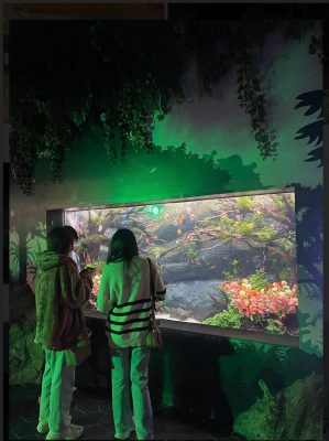 LINE_ALBUM_Korea-overseas trip_230527_4