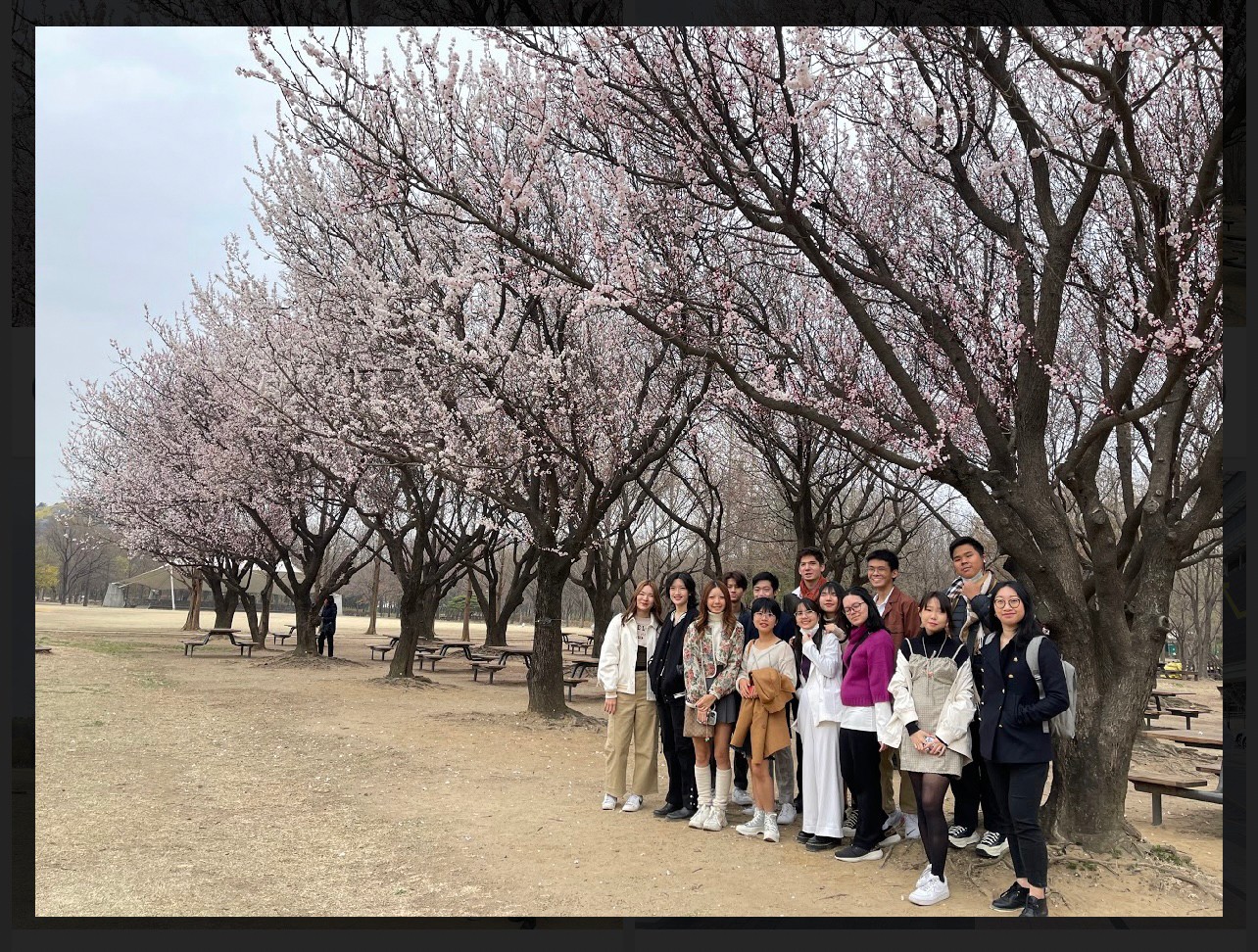 LINE_ALBUM_Korea-overseas trip_230527_5